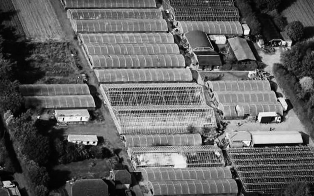 Commercial mortgage Kent: Saving a market garden