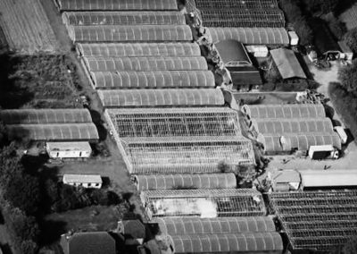 Commercial mortgage Kent: Saving a market garden