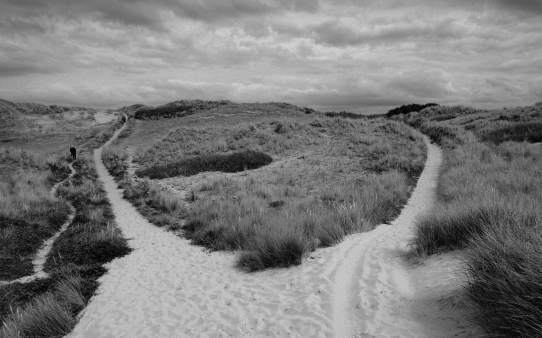 Should I use a bridging loan or a mortgage to finance a property I plan to flip?